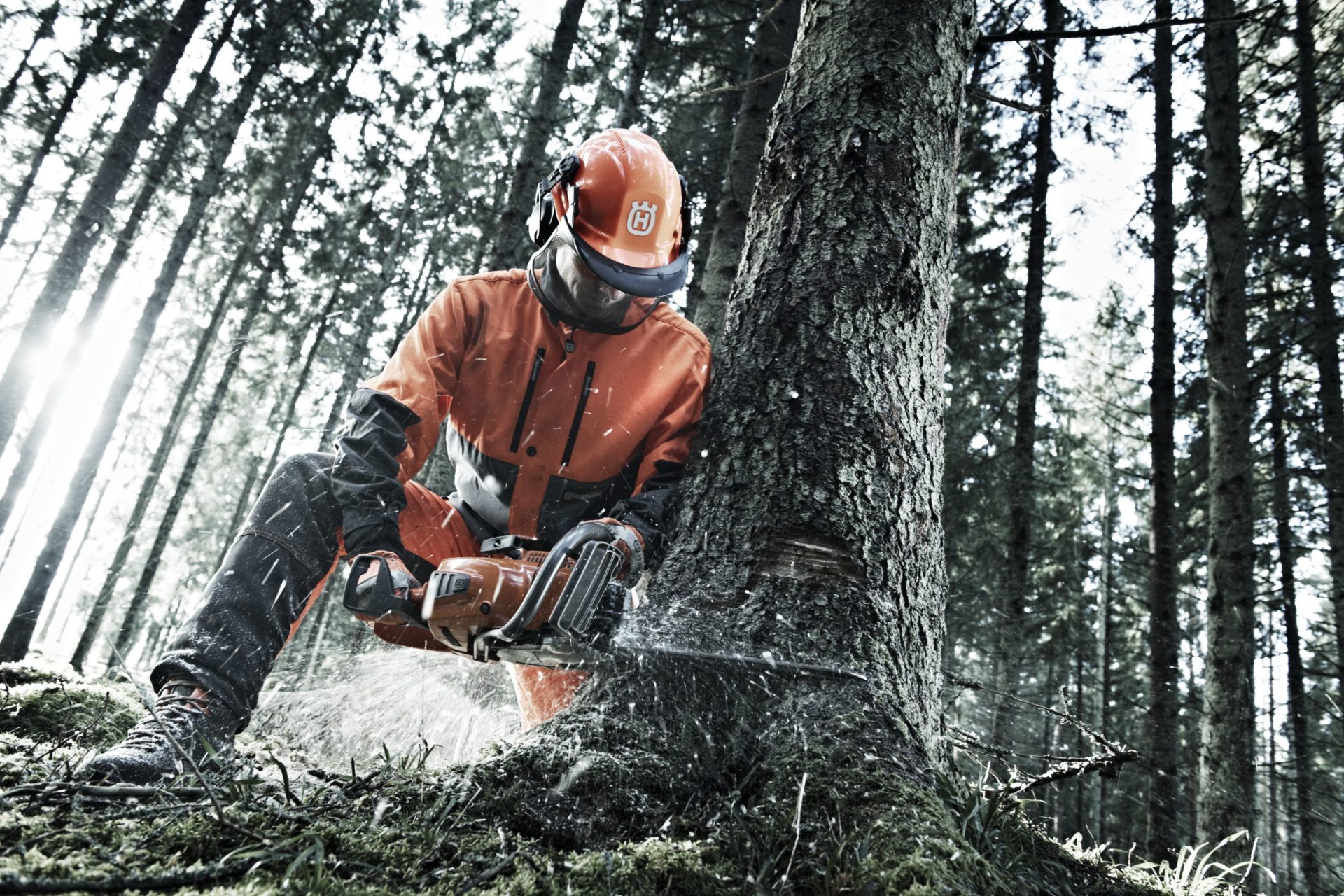 Husqvarna i arbeid ute i skogen
